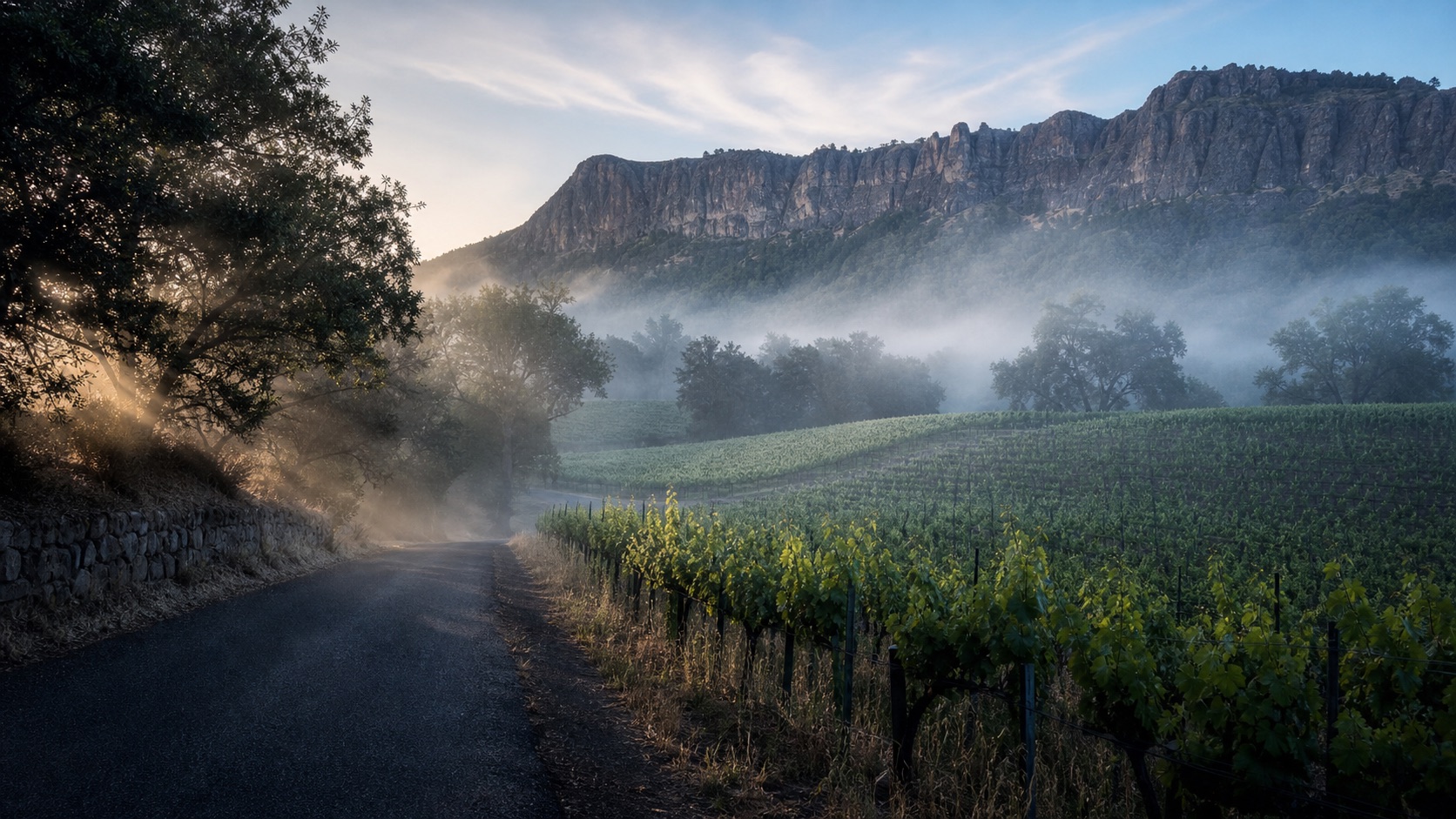 Calistoga vineyards and the rocky Palisades in morning mist