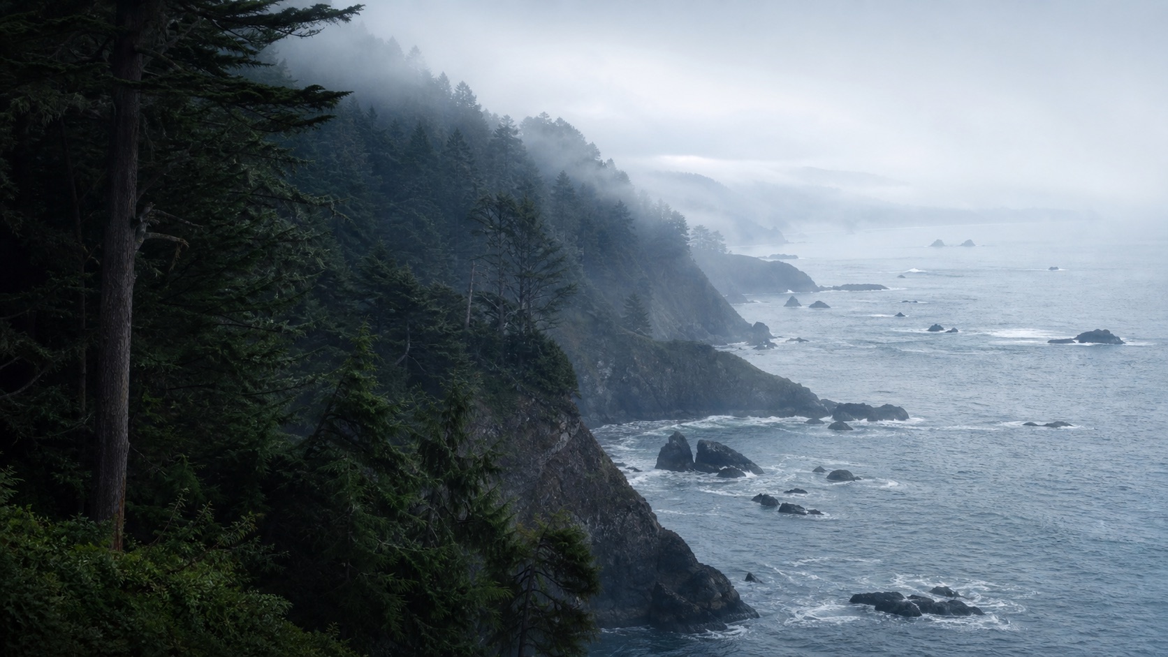 Mendocino County redwood forest meeting the rugged Pacific coast